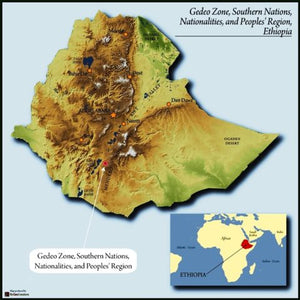 Ethiopia Yirgacheffe | Medium Roast
