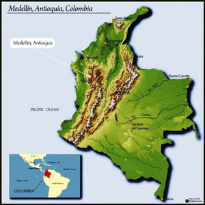 Colombia Excelso | Light Roast