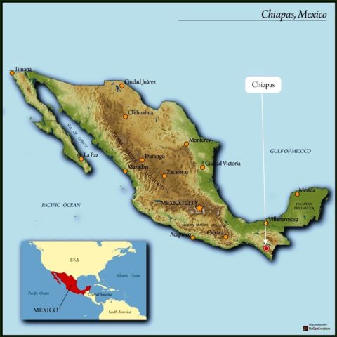 Mexico Chiapas | Medium Roast